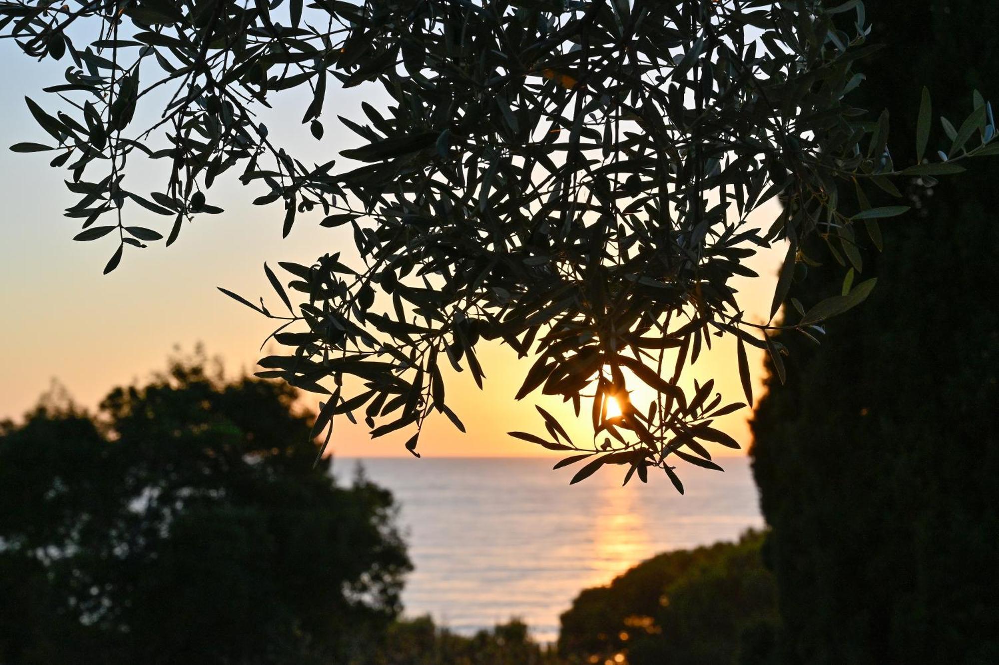 Albeca Boutique Hotel - Relais De Charme Sul Mare Кастеллабате Экстерьер фото